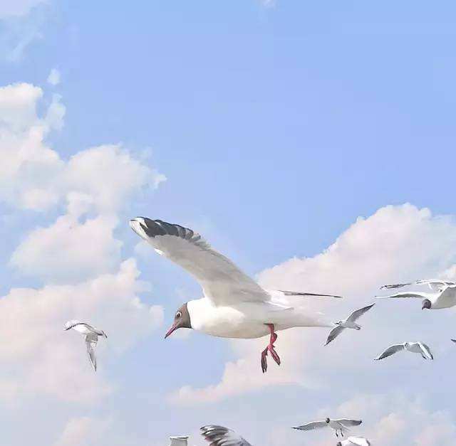 德國慕尼黑電子展