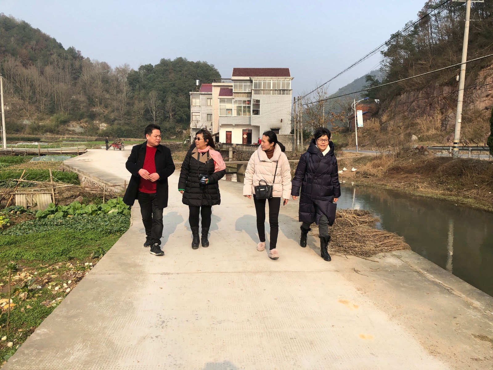 1548298183100598.jpg IMG_3954.JPG